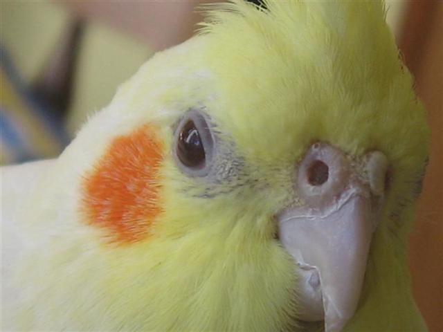 5.1.2007. 035.jpg